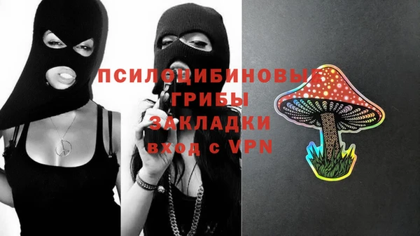 прущие крисы Михайловск
